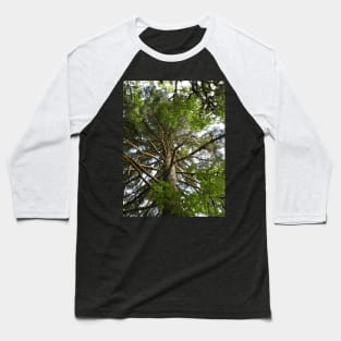 Mossy Tree Nature Photography Pacific Northwest Baseball T-Shirt